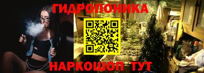 дмт Заволжье